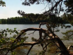 2013-06-08_Radtour_Iffeldorf-Aiderbichl (142).JPG